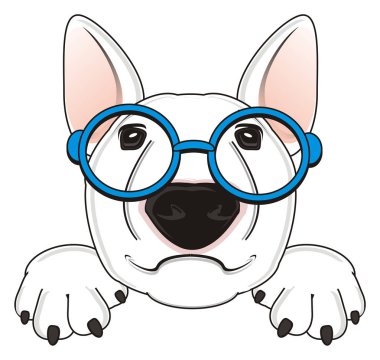 Beyaz boğa korkunç