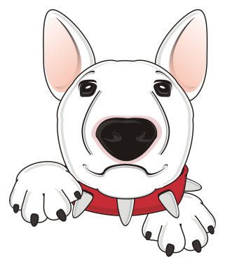 Beyaz boğa korkunç