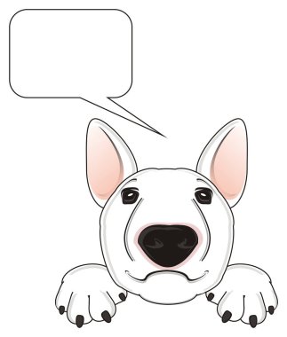 Beyaz boğa korkunç