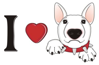 Beyaz boğa korkunç