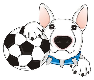 Beyaz boğa korkunç