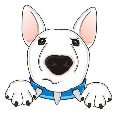 Beyaz boğa korkunç