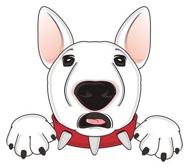 Beyaz boğa korkunç