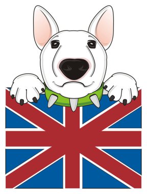 Beyaz boğa korkunç