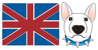 Beyaz boğa korkunç