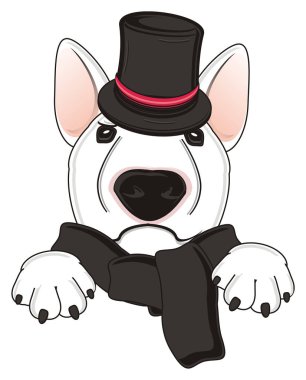 Beyaz boğa korkunç