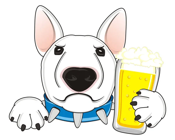 White bull terrier — Stock Photo, Image