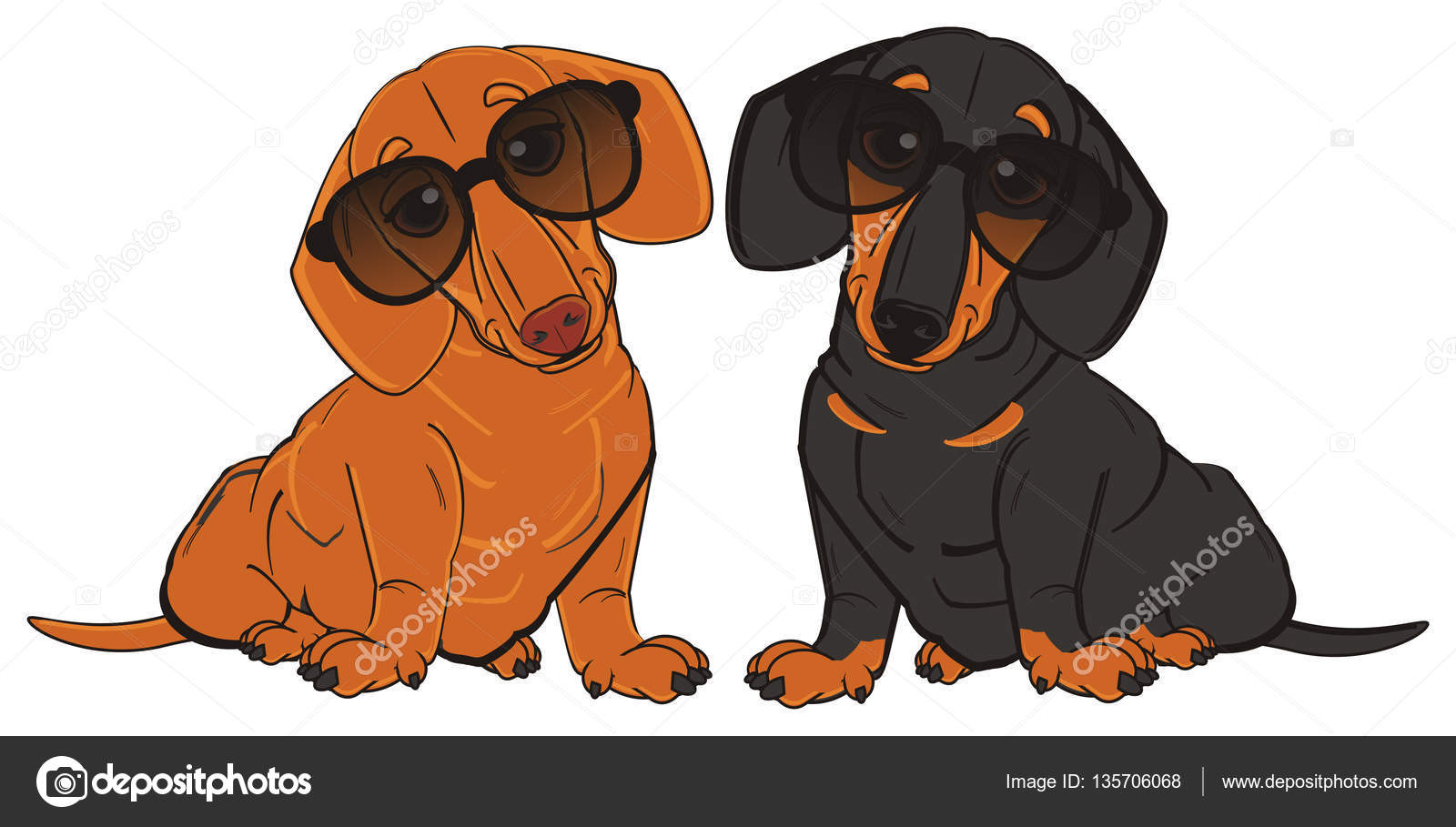 dachshund with sunglasses