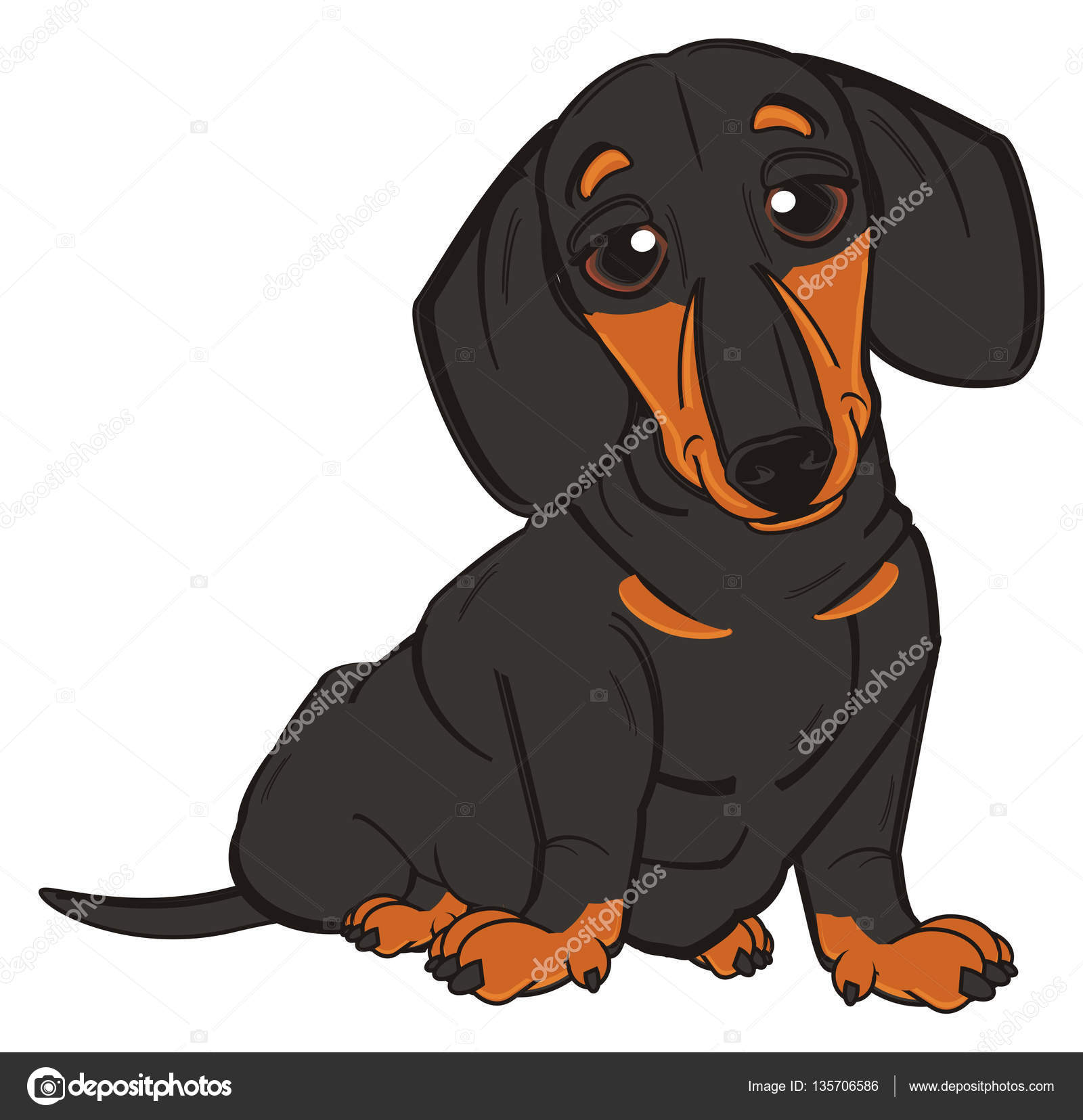 Cute black dachshund Stock Photo by ©tatty77tatty 135706586 Cute black dachshund Stock Photo by ©tatty77tatty 135706586