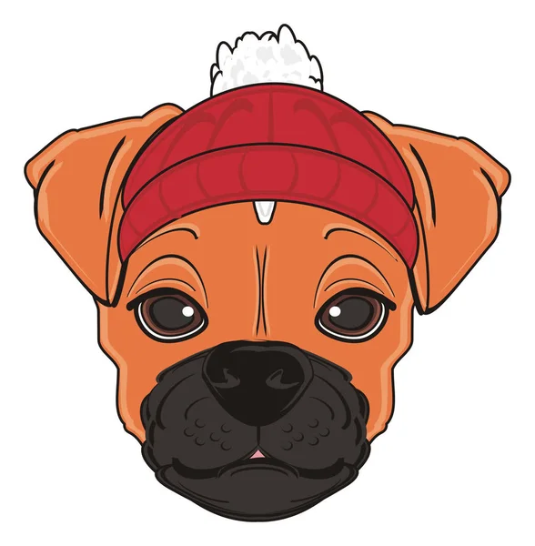 Cute boxer dog — Stock Photo, Image