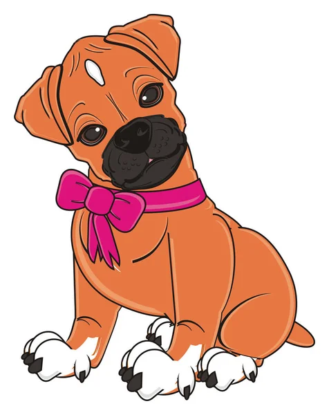 Cute boxer dog — Stock Photo, Image