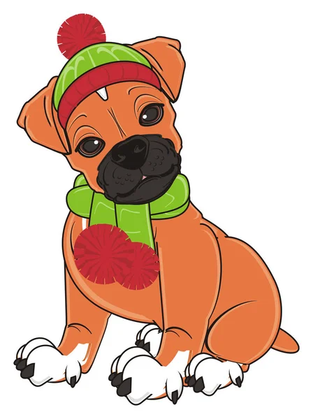 Cute boxer dog — Stock Photo, Image