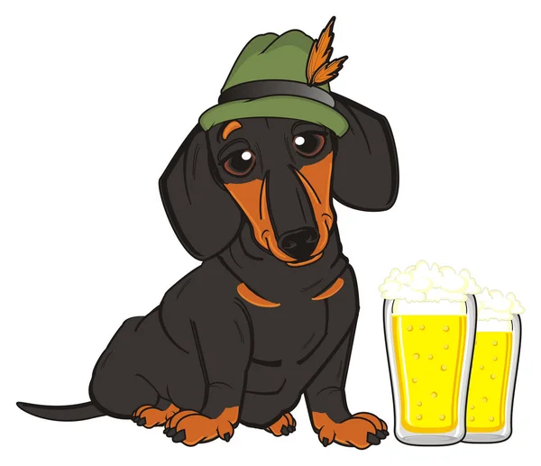 Cute black dachshund — Stock Photo, Image