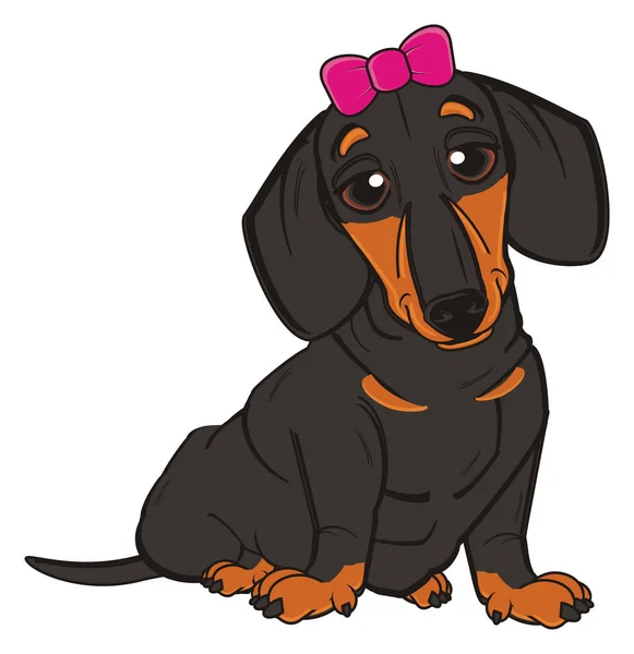 Cute black dachshund — Stock Photo, Image