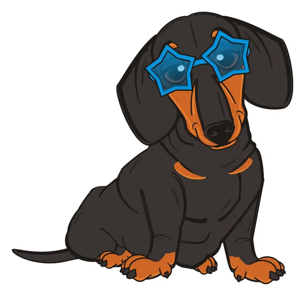 Lindo dachshund negro — Foto de Stock