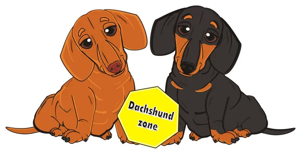 Δύο dachshunds με πινακίδα — Φωτογραφία Αρχείου