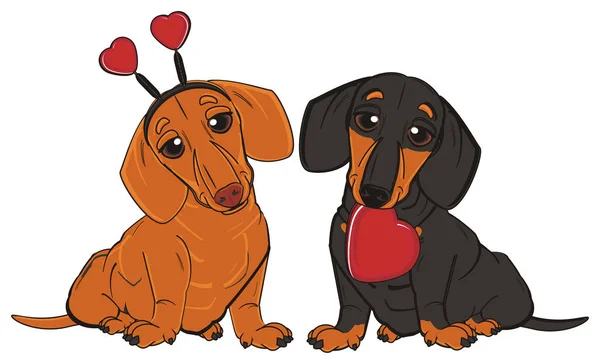 사랑에 두 dachshunds — 스톡 사진