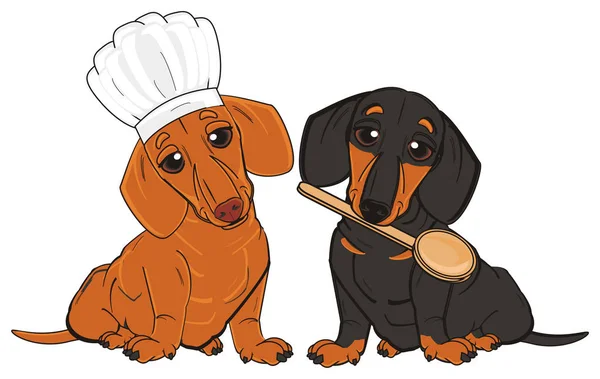 Two dachshunds ready to cooking — Stock Photo, Image