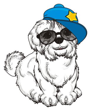 şirin Malta köpek