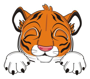 şirin turuncu kaplan