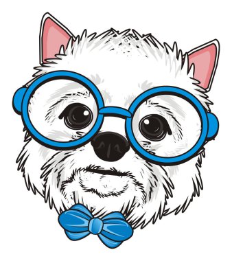 Batı Highland Beyaz Teriyeri