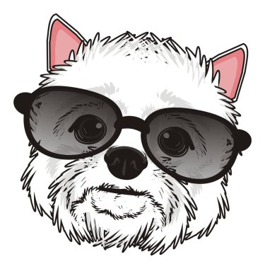 Batı Highland Beyaz Teriyeri