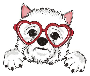 Batı Highland Beyaz Teriyeri