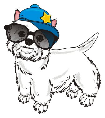 Batı Highland Beyaz Teriyeri