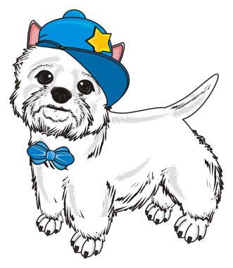 Batı Highland Beyaz Teriyeri