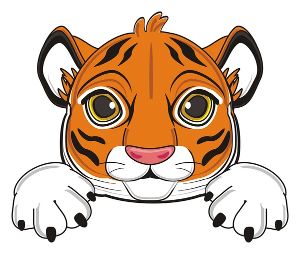 Tigre laranja bonito — Fotografia de Stock