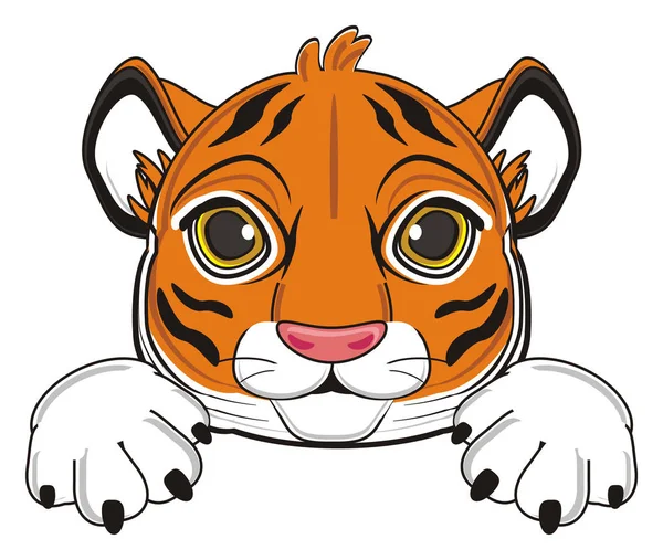 Cute orange tiger — Stock Photo, Image