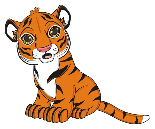 Schattige oranje tiger — Stockfoto