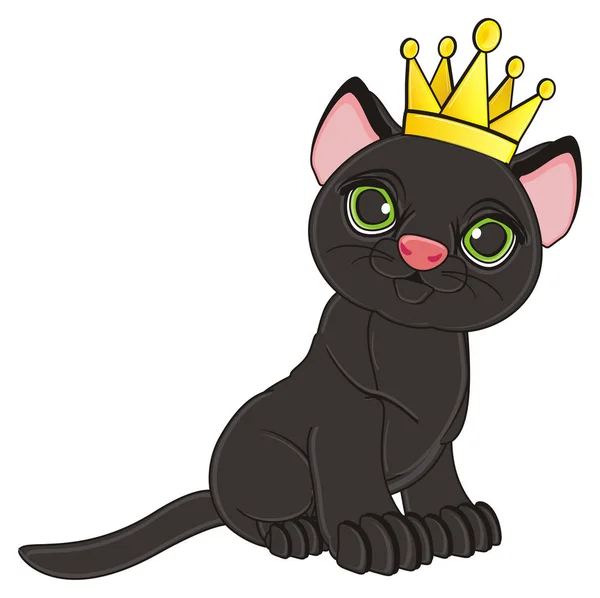 Siyah şirin kedi — Stok fotoğraf
