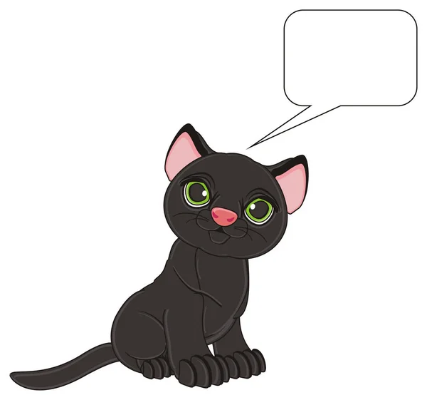 Negro lindo gato — Foto de Stock