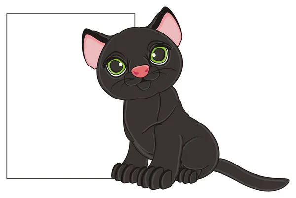 Black cute cat — Stock Photo, Image