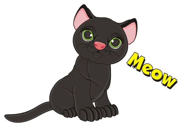 Чорна кішка мила — стокове фото