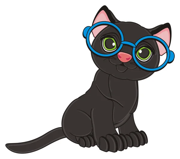 Черный милый кот — стоковое фото