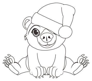 Boyama ayı şapkalı