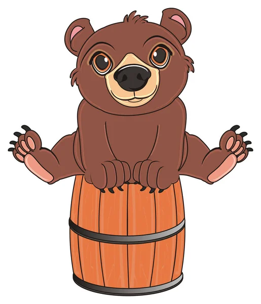 Cute brown bear — Stock Photo, Image