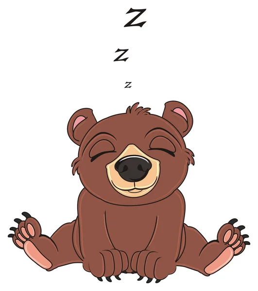 Lindo oso marrón — Foto de Stock