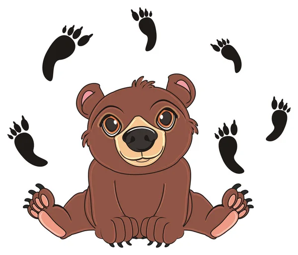 Carino orso bruno — Foto Stock