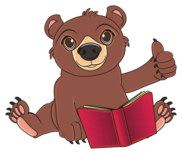Lindo oso marrón — Foto de Stock