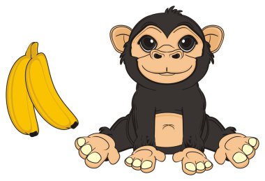 sevimli siyah maymun