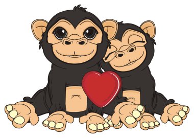 sevimli siyah maymun