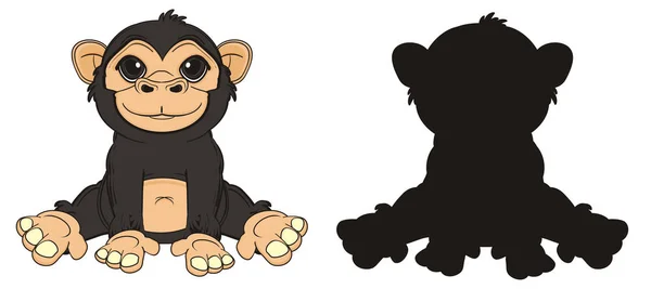 Aranyos fekete majom — Stock Fotó