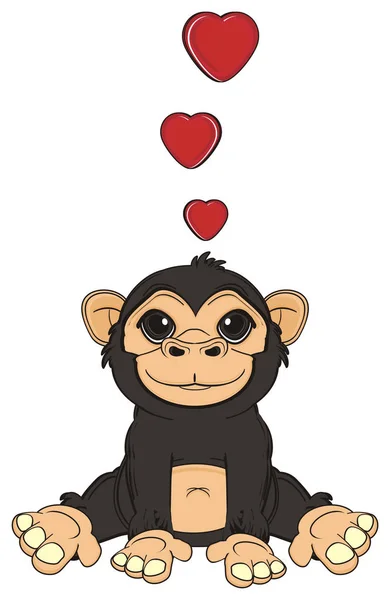 Mono negro lindo — Foto de Stock