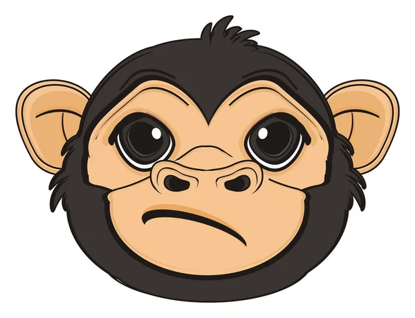 Cute black monkey — Stock Photo, Image