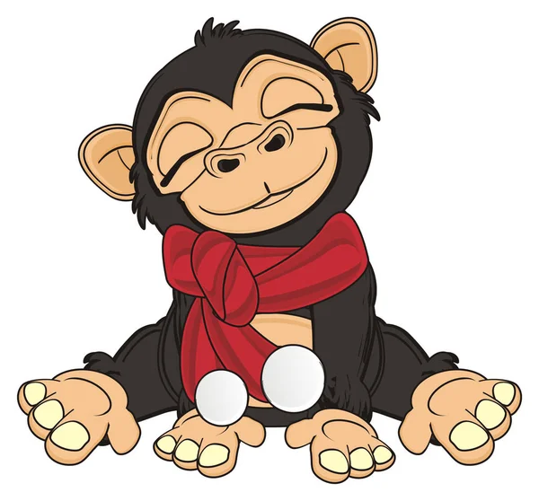 귀여운 검은 원숭이 — 스톡 사진