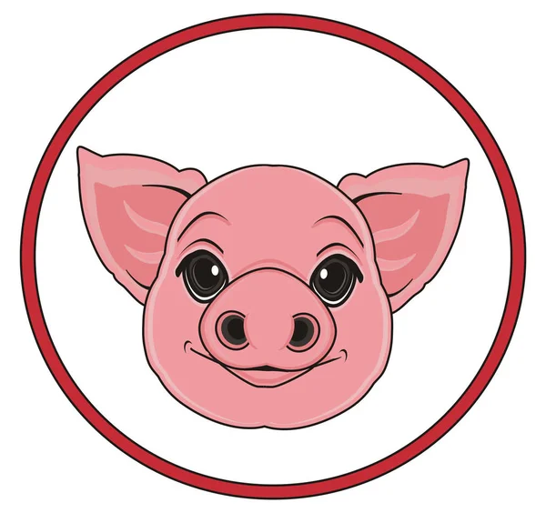 Porco rosa bonito — Fotografia de Stock