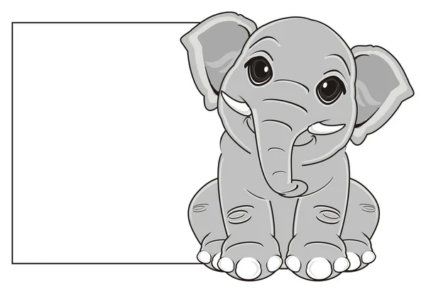 Pequeno elefante cinzento — Fotografia de Stock